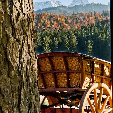 Villa Na Potoku Zakopane