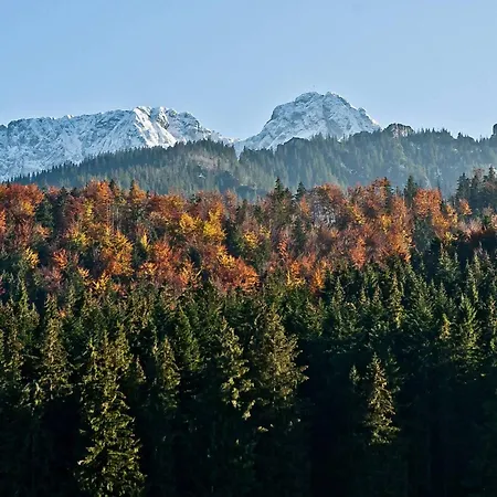 Na Potoku 扎科帕内